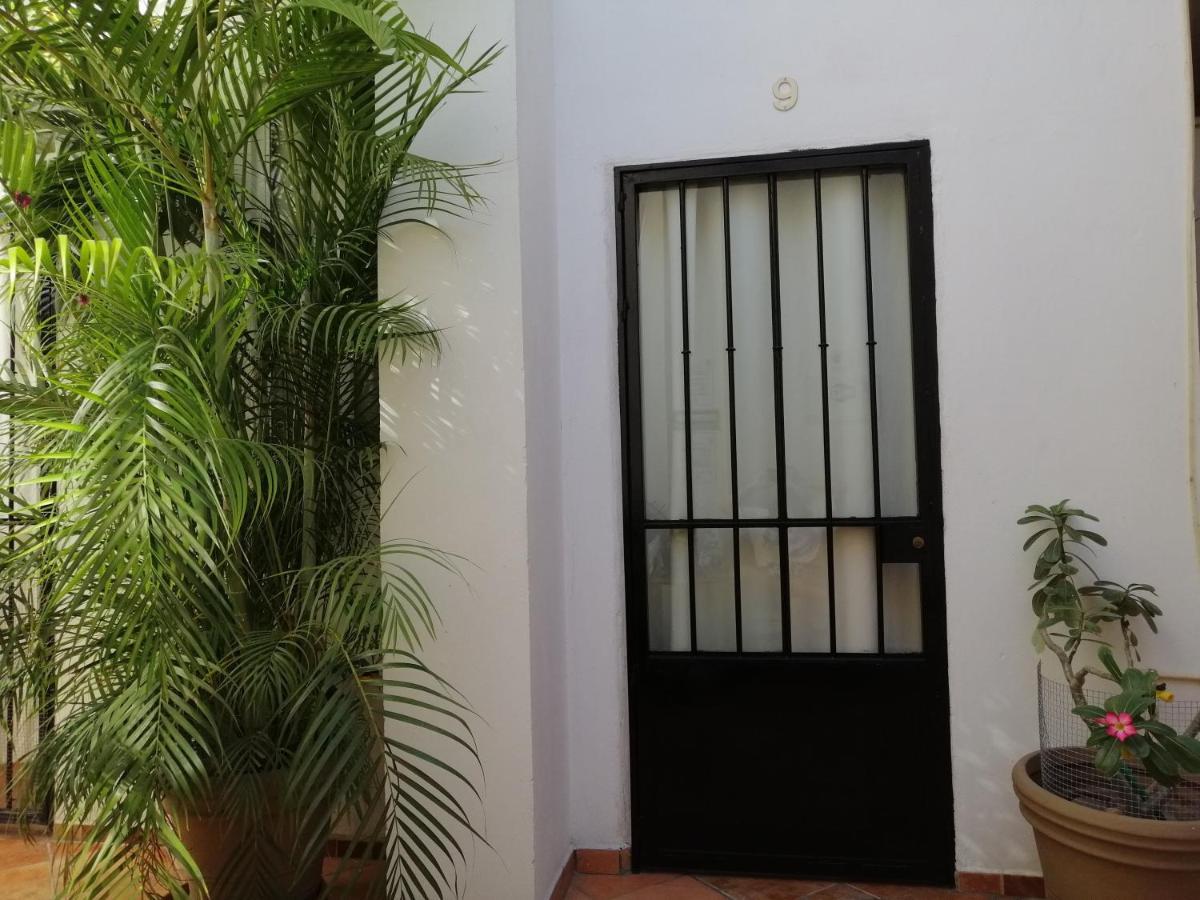 Casa Adriana Hostel Puerto Vallarta Kültér fotó