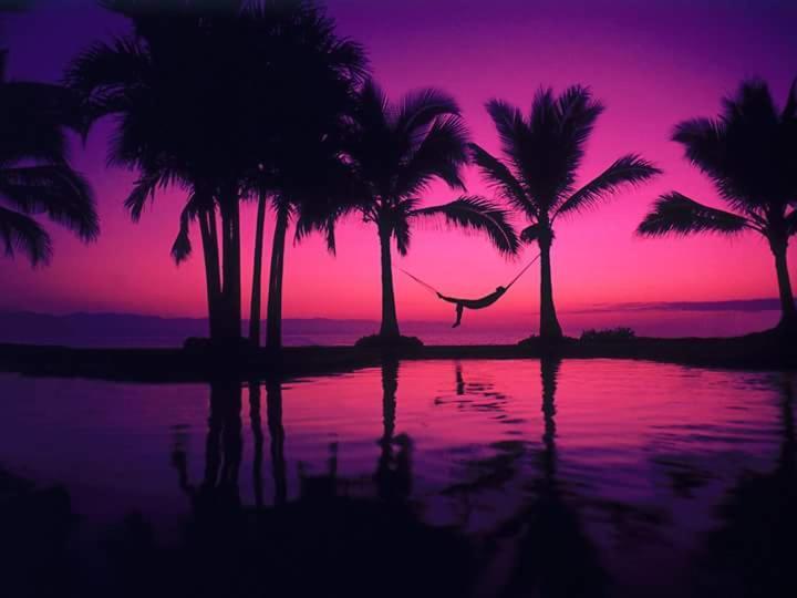 Casa Adriana Hostel Puerto Vallarta Kültér fotó