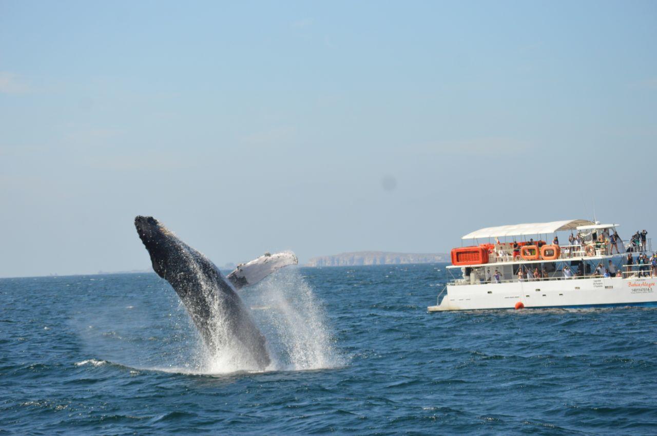 Casa Adriana Hostel Puerto Vallarta Kültér fotó